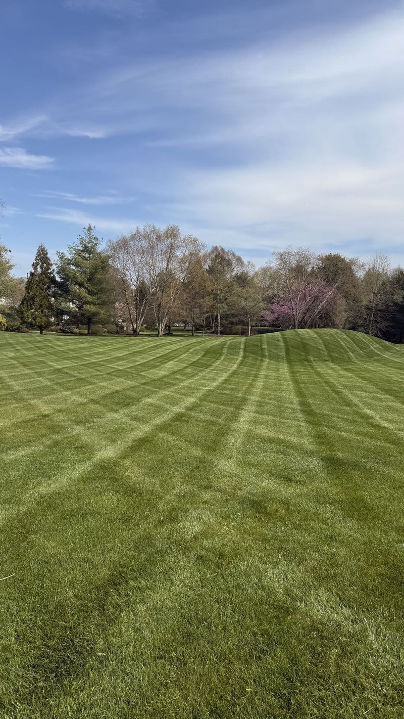Freshly mowed lawn with straight stripes